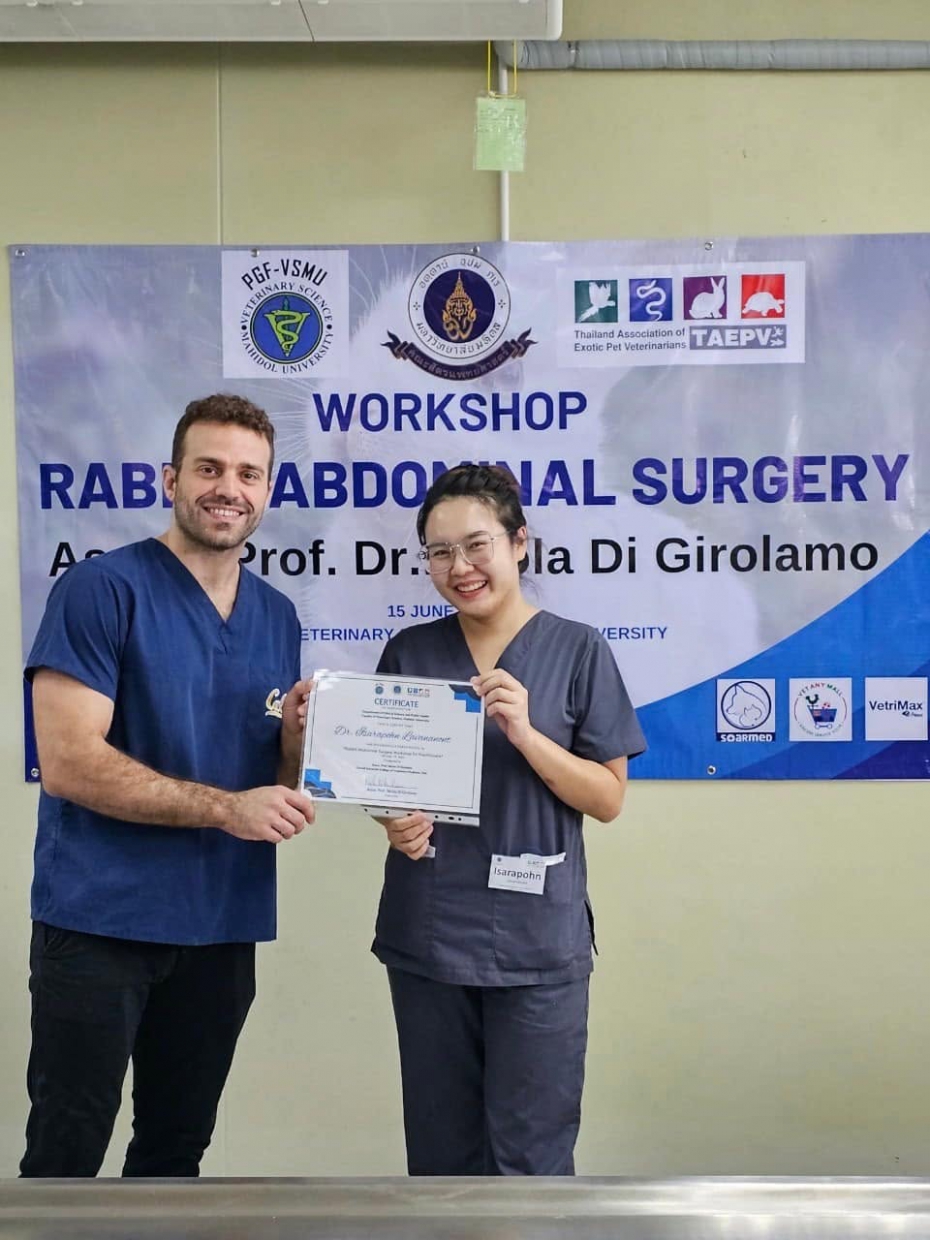 Rabbit abdominal surgery workshop