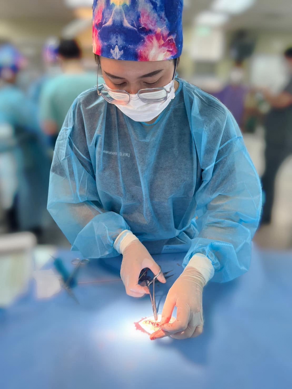 Rabbit abdominal surgery workshop