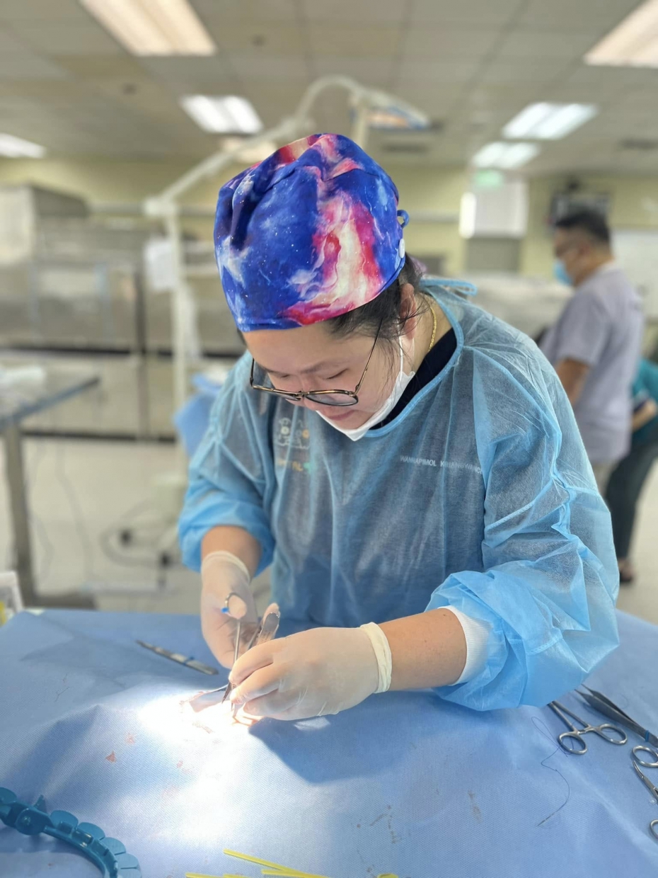 Rabbit abdominal surgery workshop